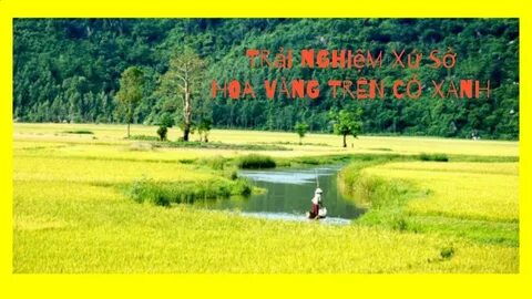Dân mạng sợ hãi chuyện người yêu thao túng tâm lý sau scandal tình ái Lim Feng