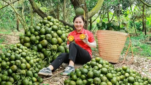 Vì sao thang máy có gương, nhà sản xuất nêu 3 lý do khiến nhiều người bất ngờ