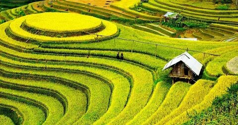 'Con sắp thi lớp 10, cả nhà tôi như bị câm'